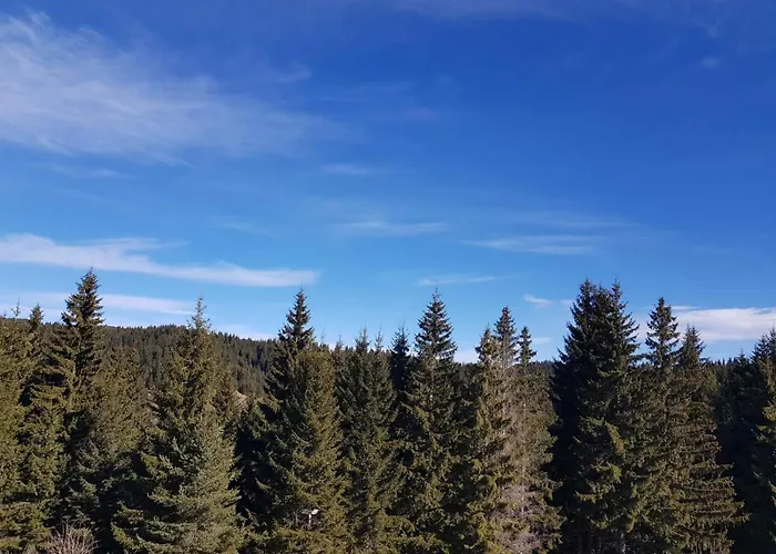 панорама уют Stoykite